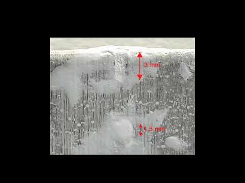 Self-Healing Concrete in Action