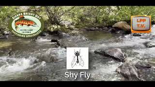 Sierra Bright Dot&#39;s Fred Rowe gives The Fly Fishing Report in (over) 60 seconds for SeptOct 10-16