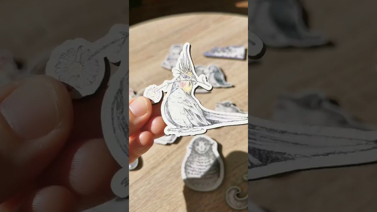 ierisch magnetisch: Wollfried & Friends