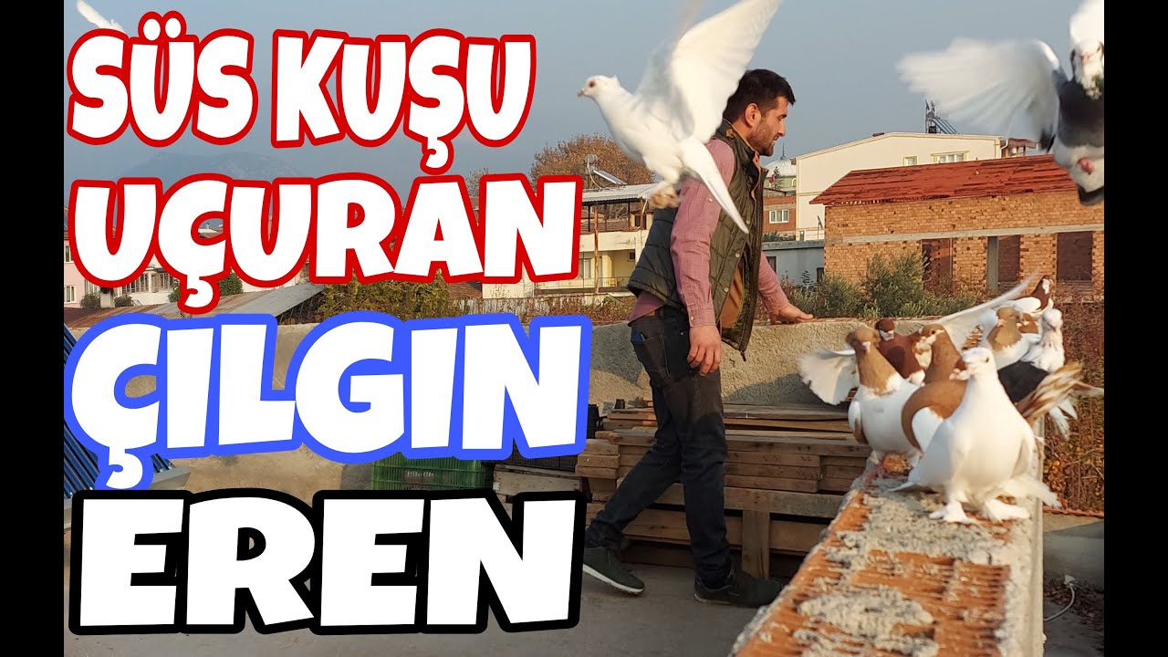 ÇILGIN EREN, SÜS KUŞLARINI UÇURUYOR. Türkiyede Süs Kuşlarını Uçuran Tek Adam. Face:Ağaköylü ErEn