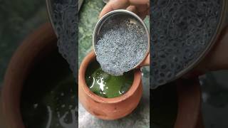 Aam Panna | Raw Mango Drink| Aam Panna recipe| #shorts #shortsfeed #aampanna #aampannapremix#summer