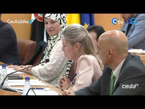 VOX vuelve a vincular inmigraci&oacute;n y delincuencia en el pleno para hartazgo del resto de grupos