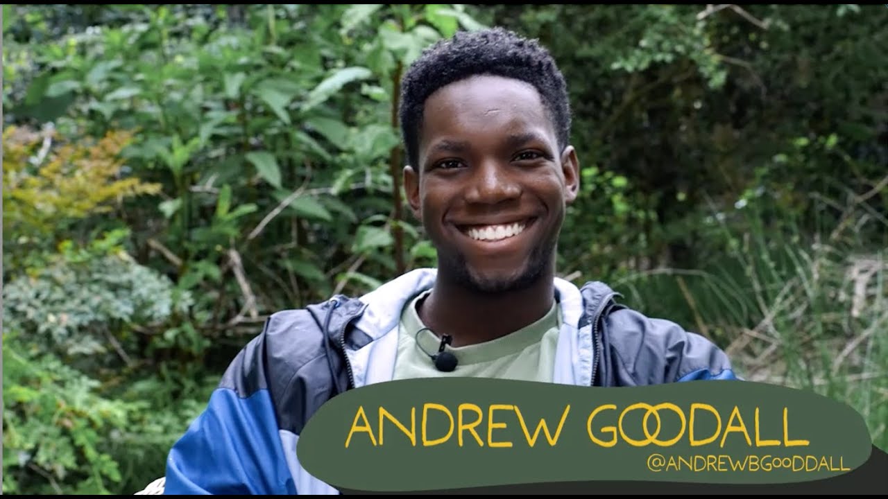 Backyard Conversations - ANDREW GOODALL - YouTube