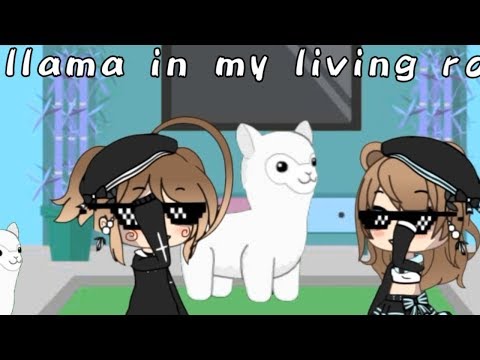 llama-in-my-living-room-meme|(read-desc.)|[gacha-life]