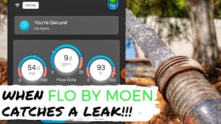 What Happens When Flo by Moen Detects a CRITICAL Leak Demo Leak Notifications Water Shutoff