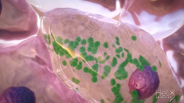 Mechanism of Disease (MOD) - Viral Replication