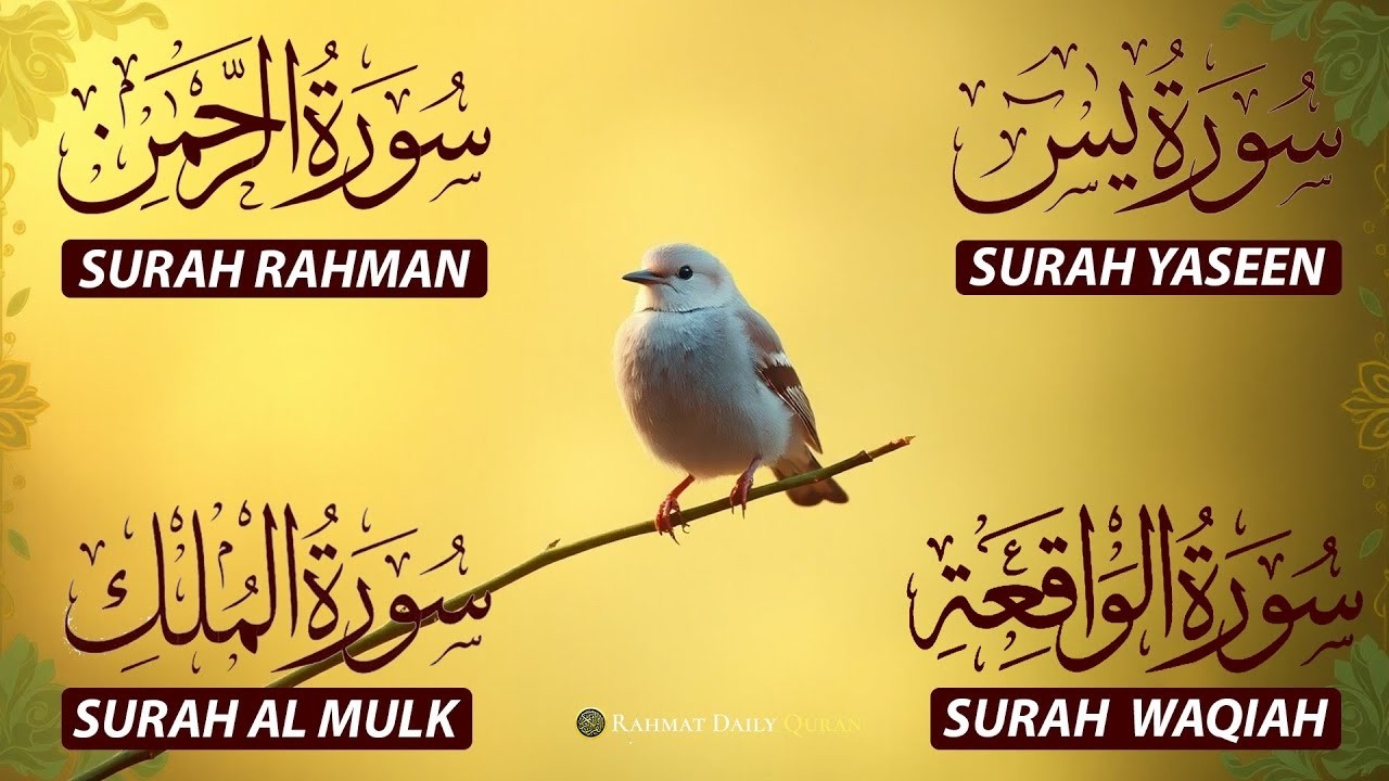 Magical Recitation Surah Yaseen (Yasin) | Surah Rahman | Surah Waqiah | Surah Mulk