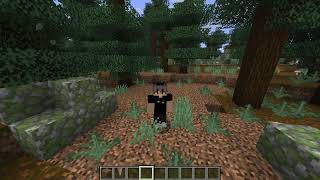 PULSE SMP APPLICATION