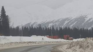 Pine Pass Feb 12 2017