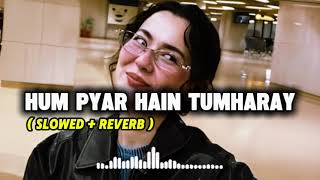 Hum Pyar Hain Tumharay  Slowed  Reverb   New Hindi Song  Latest Song 2026