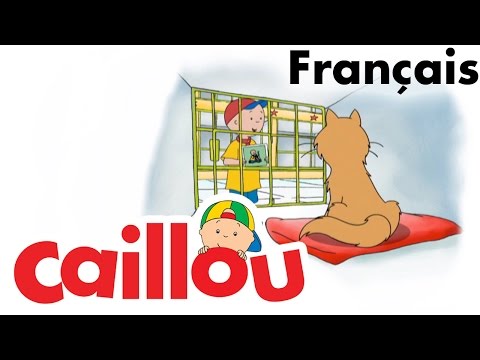 Caillou FRANÇAIS - Où est Gilbert? (S04E01) | conte pour enfant | Caillou en Français