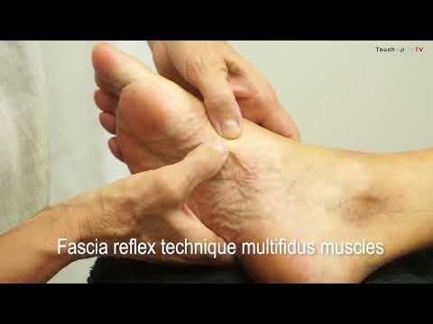 Fascia reflex technique: Multifidus muscles