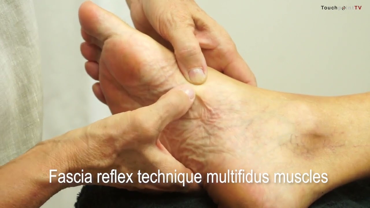 Fascia reflex technique: Multifidus muscles