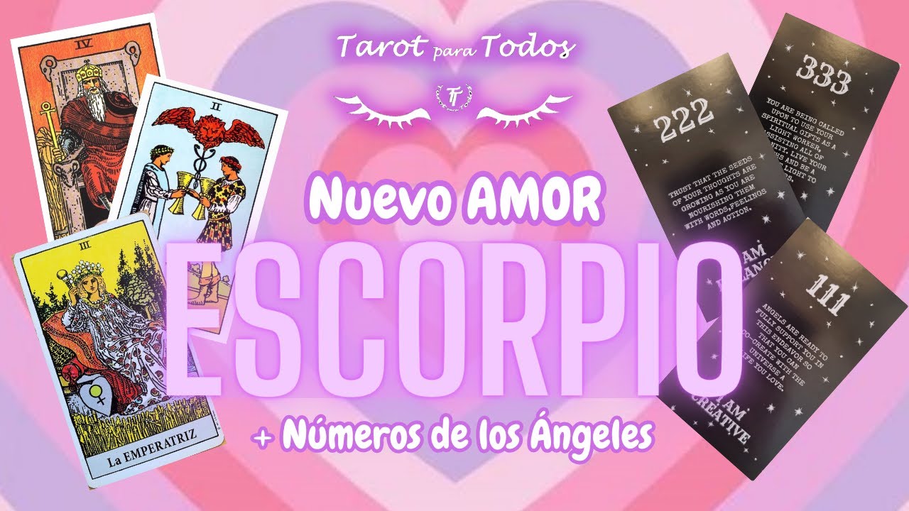 ♏️ ESCORPIO💜 Nuevo Amor 💘 Tarot y Oráculos #tarotamor #escorpiotarot # ...
