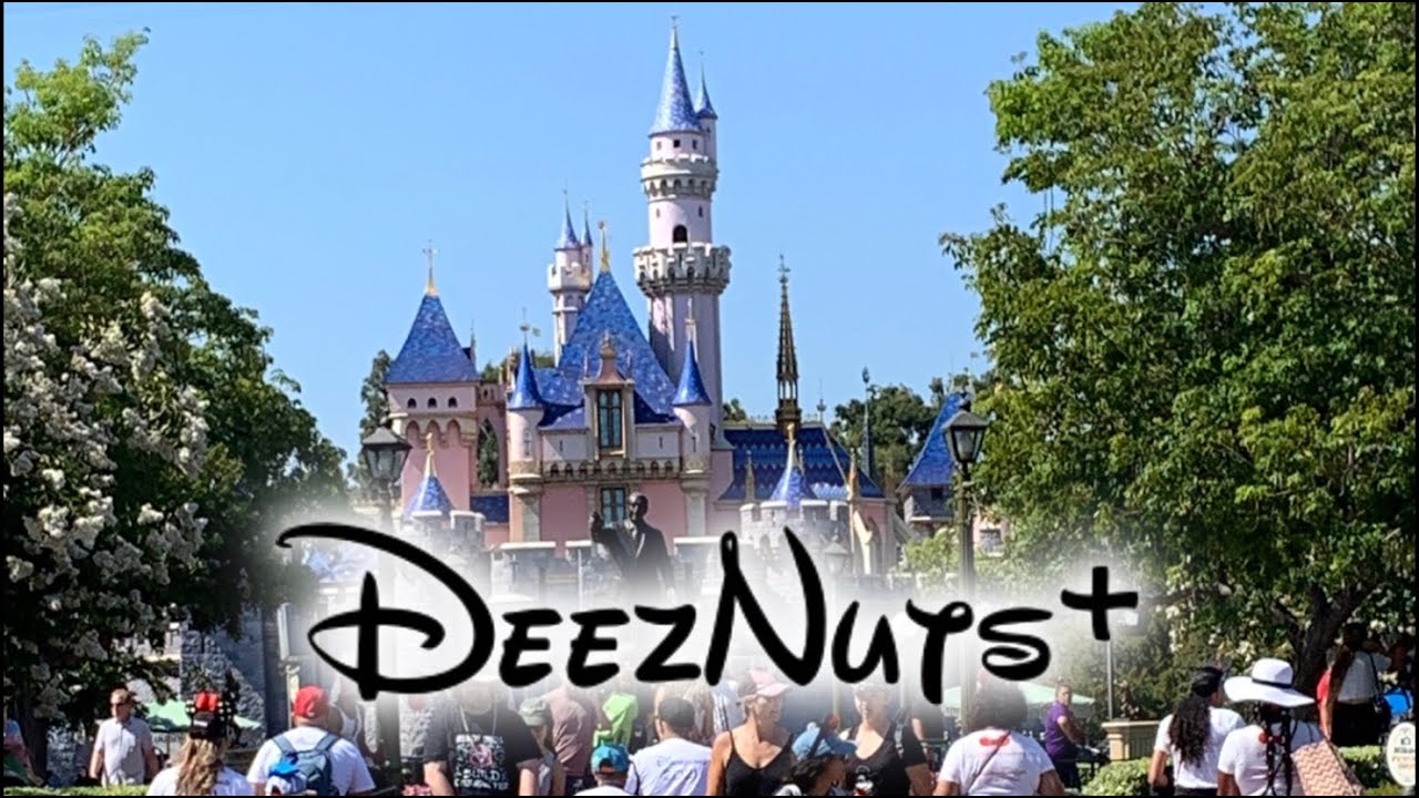 Visiting Disneyland for the First Time in 11 Years!