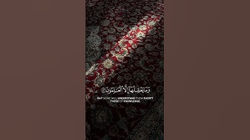و تلك الأمثال نضربها للناس و ما يعقلها إلا العالمون || القارئ: عبد الرحمن مسعد