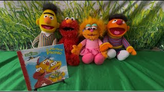 Sesame Street A Perfect Picnic Read Along With Kd Productions