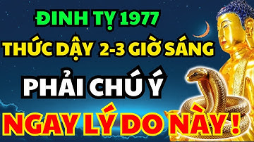 Đinh Tỵ 1977 Thức Giấc Vào Giữa Đêm Khoảng 2-3 Giờ Sáng? Nếu Có Thì Hãy Xem Hết Video Này Để Hiểu!