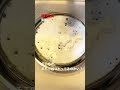 【閲覧注意】そこの君、まだ小銭使ってるの?
