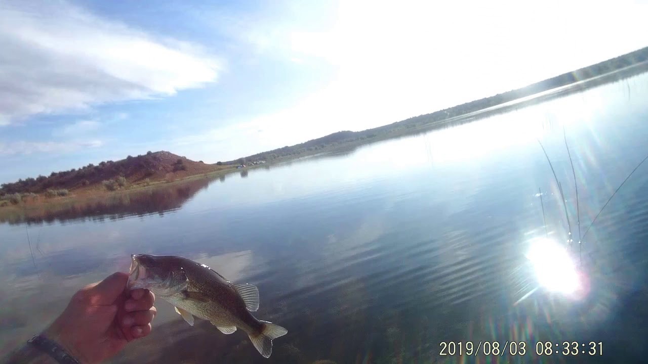 Ep. 6Ganado Lake YouTube