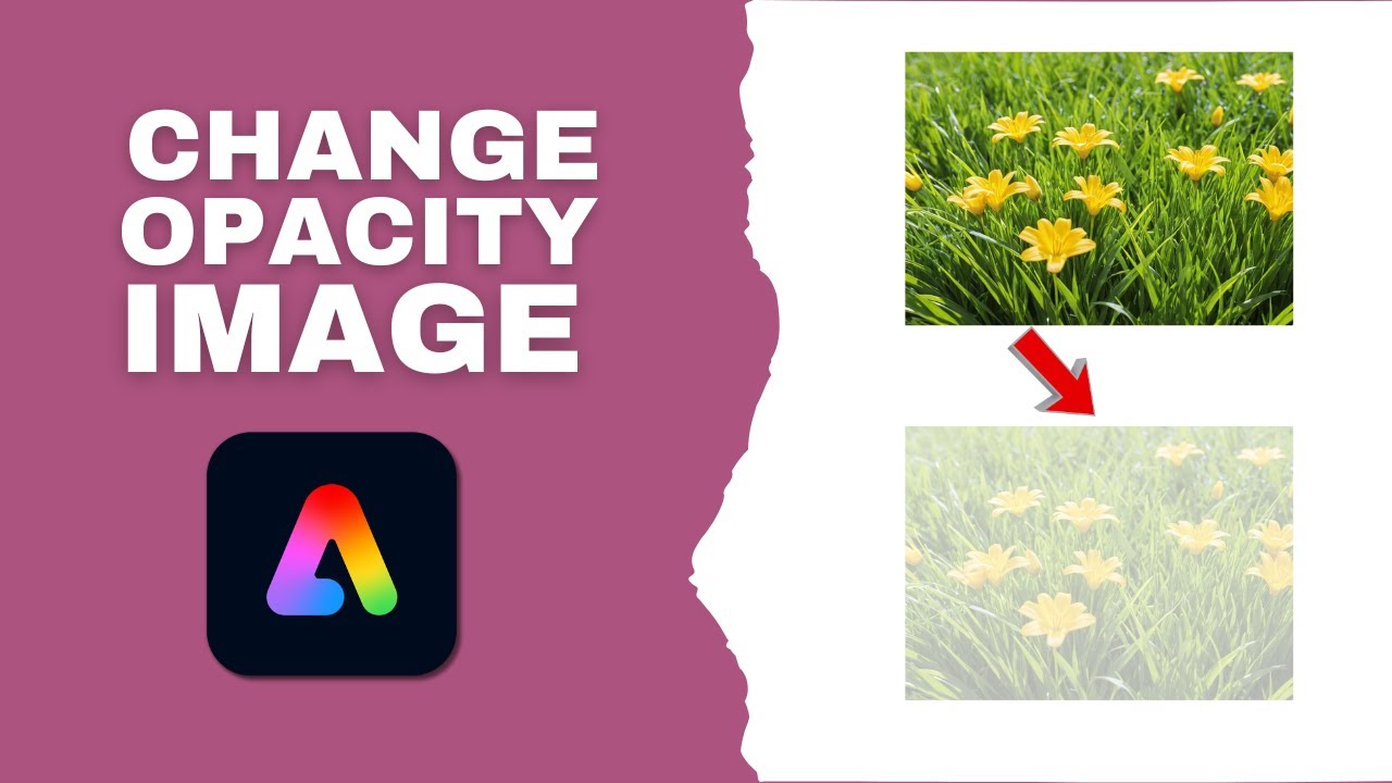 How to Change Opacity Image in Adobe Express - YouTube