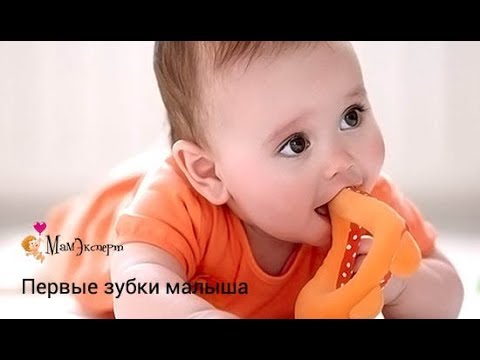 Вебинар "Первые зубки малыша"