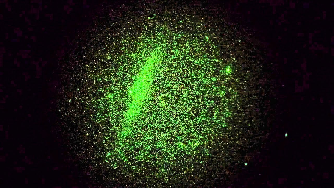 NGC 4631 Whale Galaxy at 120X thru Image Intensifier Real-Time