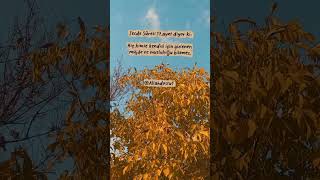 Secde Sûresi 17.Ayet Diyor Ki