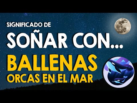 ¿Qué significa soñar con ballenas orcas? 🐳 En el mar y otros lugares 🐳