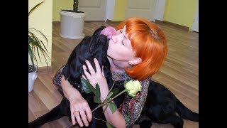 Download lagu The dog loves mom The dog loves mom