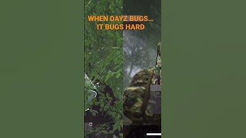 DAYZ BUGS #foryou #dayz #ps5 #livonia #dayzstandalone