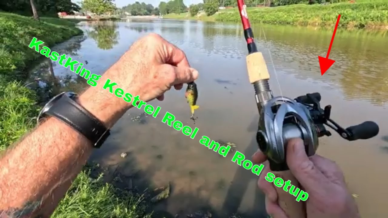 Must-See Berkley Rod and Kastking Combo Review
