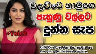 වලව්වෙ හාමුගෙ පැහුණු වල්ලට දුන්න සැප| sinahala keti katha | short story 