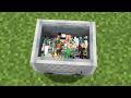 i caught 1000 mini mobs in cart minecraft !