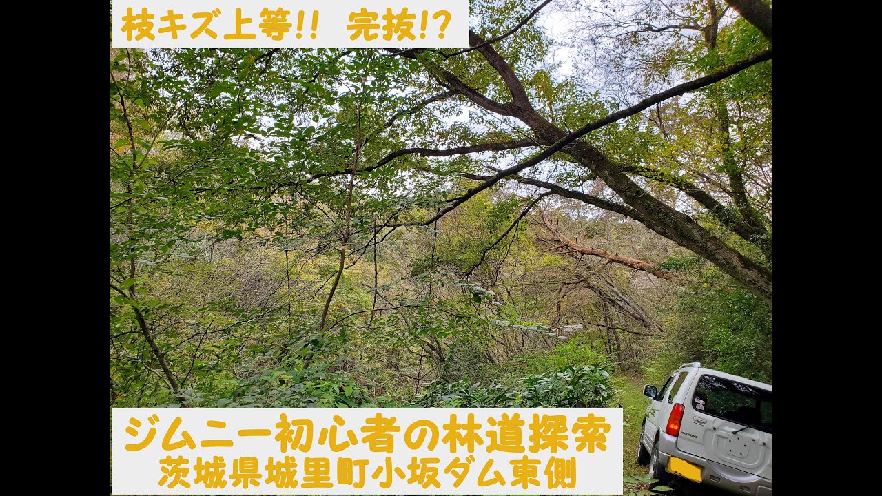 【ジムニー初心者の林道探索】茨城県城里町小坂ダム東側