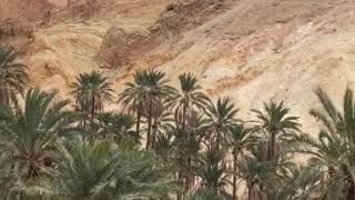 Красивый ОАЗИС в пустыне Сахара Тунис    Beautiful OASIS in the Sahara Desert of Tunisia