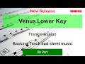 Venus Lower Key : Frankie Avalon : Bb Instruments Playalong Backing Track