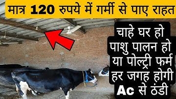 Fogger System के बारे में A to Z जानकारी | Fogger Machine | Fogger System for Diary Farm |