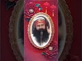 भगवान कण कण में बसदा है#ytshorts #msgvlogger #motivation #youtubeshorts #msgforever #derasachasauda