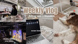 Alltag mit 2 Hunden, letzte Ferientage & neues Semester vorbereiten | Weekly Vlog by Kim Jaro 1,475 views 1 year ago 9 minutes, 35 seconds