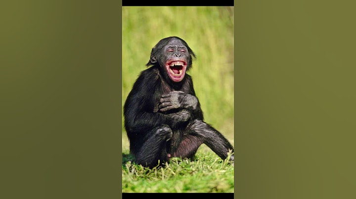 Ai nhúc nhích miệng cho kênh xinh 1 đăng kí 1 like 1 chia sẻ ạ  #laugh #happy