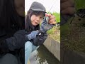 のんびりタナゴ釣り🍃