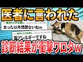 【ねこ編】ドクターに言われた衝撃的な言葉【2ch面白いスレ】