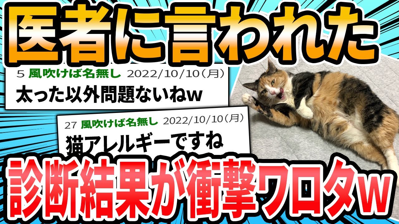 【ねこ編】ドクターに言われた衝撃的な言葉【2ch面白いスレ】