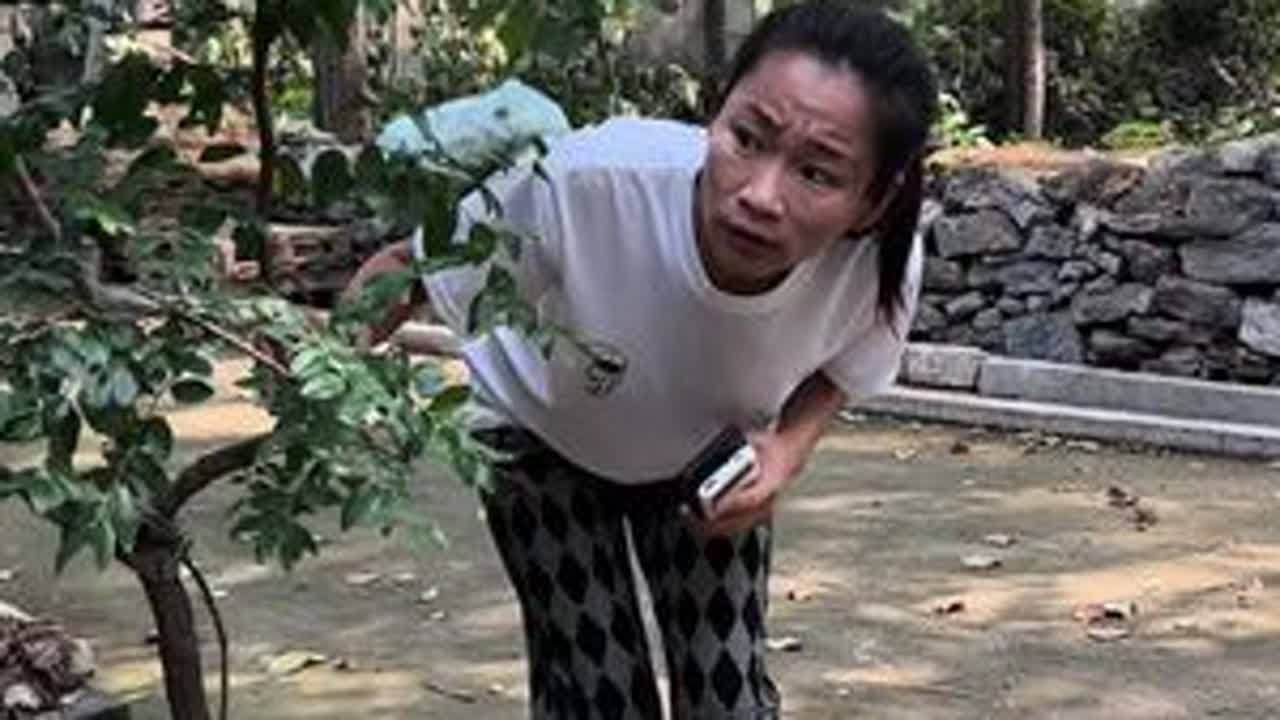 这下好了，老四和婆婆有的等了！