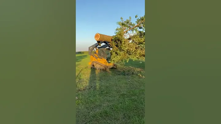 Clearing of Trees