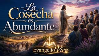 Proclamen que el Reino de Dios está Cerca