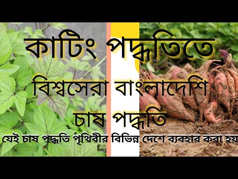 ভিডিও: নিজে করুন হিলার: ঘরে তৈরি মডেলের বৈশিষ্ট্য। ড্রুজবা চেইনসো থেকে আঁকা অনুযায়ী আলুর হিলার কীভাবে তৈরি করবেন?