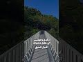 انا فدى وجهك الي كله ماشوفه الترند الجديد ياسر الشهراني شيلات انا فدى وجهك الي كله ماشوفه الترند الجديد ياسر الشهراني شيلات