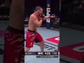 PETR YAN SLICK BOXING 🥊 #ufcabudhabi #petryan #yan #ufc #mma #boxing